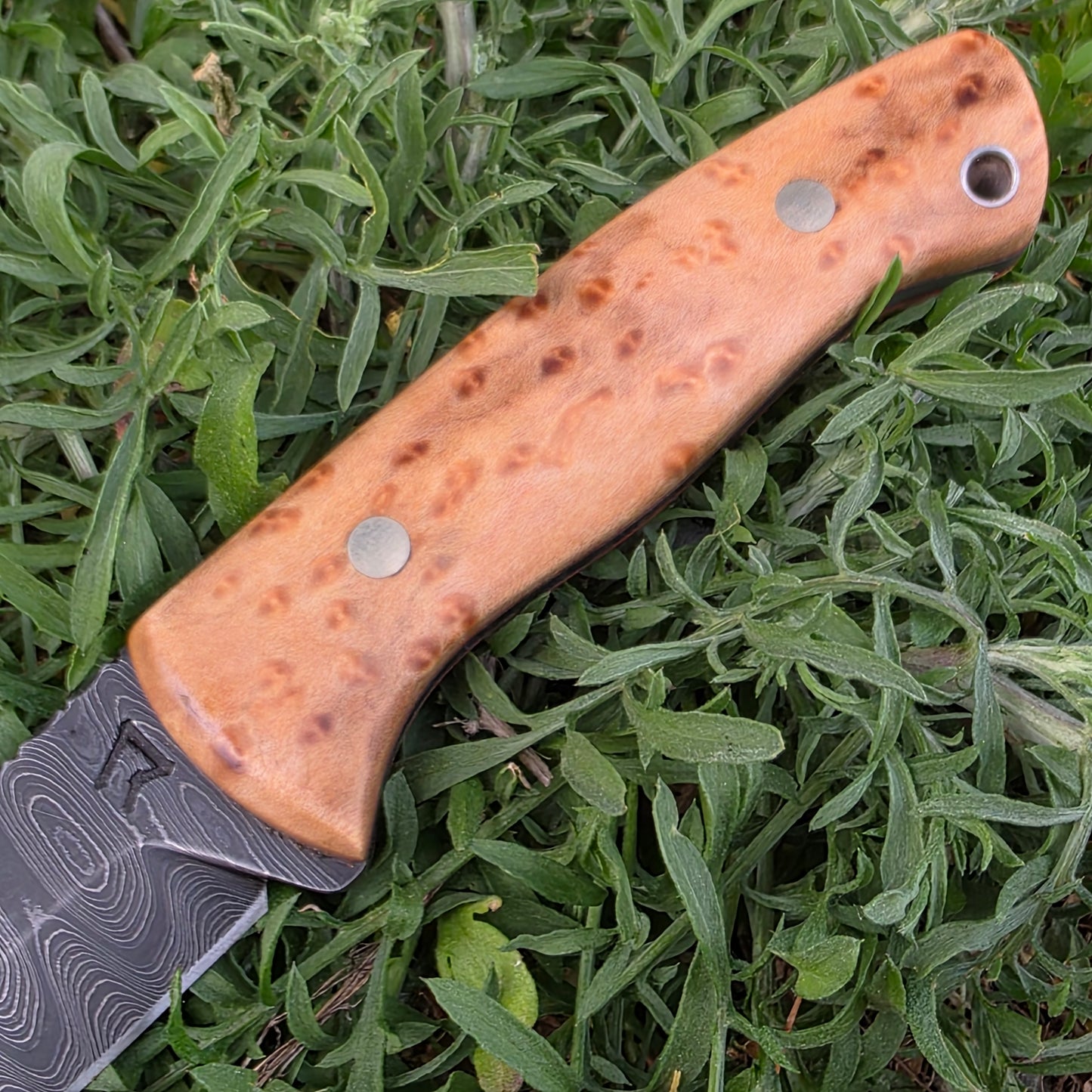 Damascus Woodsman