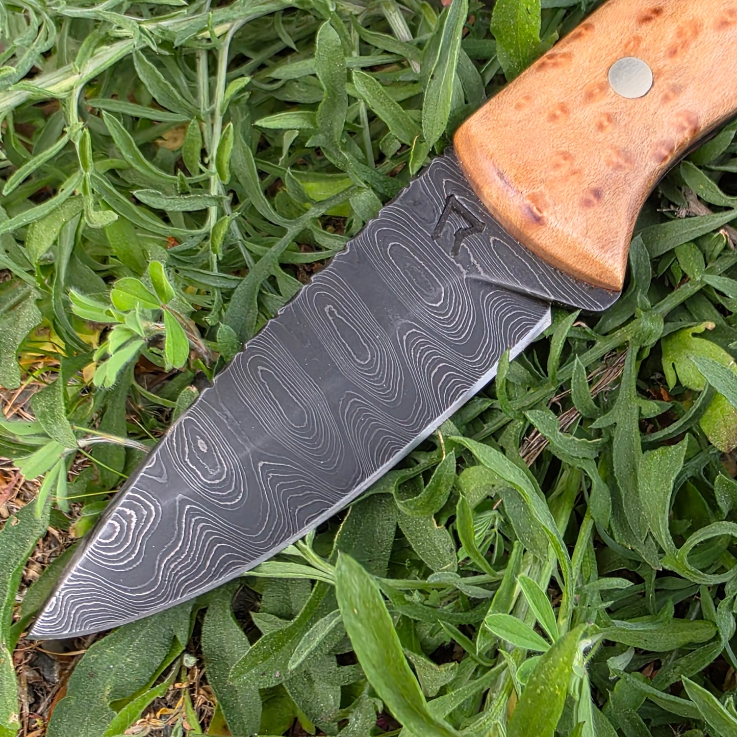 Damascus Woodsman